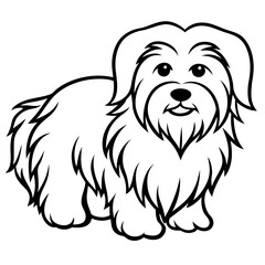 Coton de Tulear Dog Silhouette