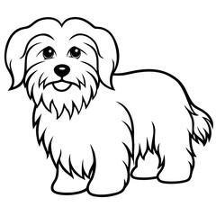 Coton de Tulear Dog Silhouette