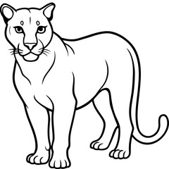 Cougar Silhouette Vector
