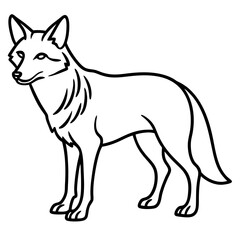 Coyote Silhouette Vector