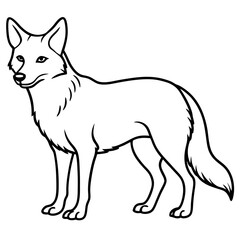 Coyote Silhouette Vector