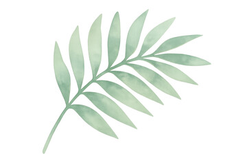 Obraz premium Watercolor palm frond illustration with green tropical leaf, creating a natural botanical design element on transparent background