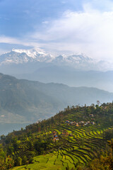 Naklejka premium Terraced fields and Himalayan mountains