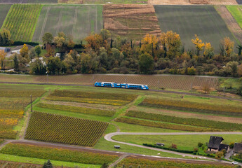 An aerial panorama view of row of vineyard in French alps in Savoie region and village while train passing in the filed, surrounded with golden color trees and nature during autumn.
