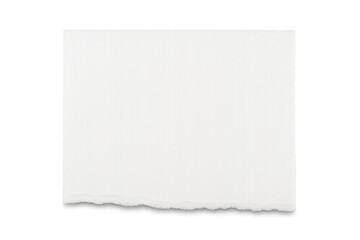 White torn horizontal paper strip with ripped bottom edge on transparent background giving copy space