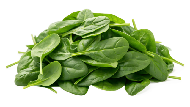spinach leaves isolated on transparent white background full depth of field clipping path