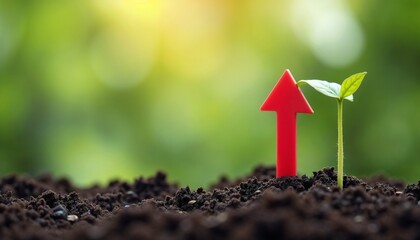Growing plant with red growth arrow in soft-focus background, Growth concept 