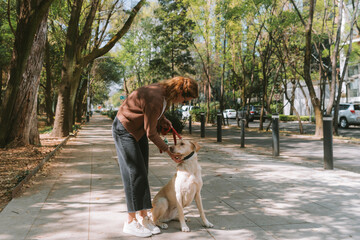 A woman is walking her dog along a tree-lined path in Mexico City’s Polanco neighborhood