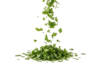 Fresh Chopped Parsley Falling on White Background Green Herb Sprinkle Culinary Ingredient
