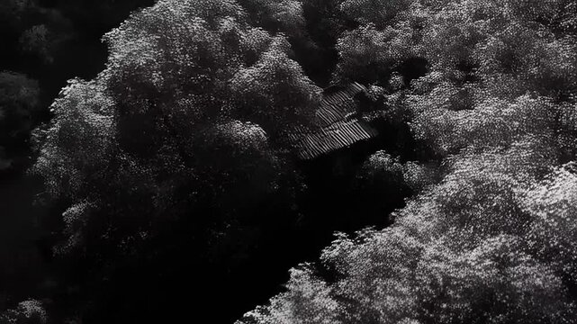 Eerie Monochromatic Aerial View of an Abandoned Complex Surrounded by Trees