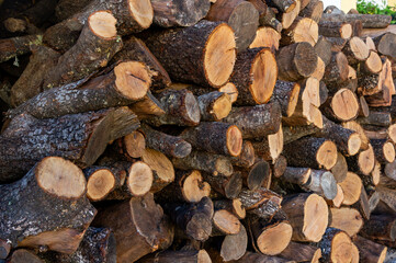 Heat Reserve: Stack of Chopped Firewood Ready for Winter.