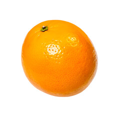 Orange fruit