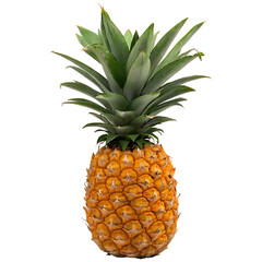 Ripe pineapple fruit isolated on alpha background