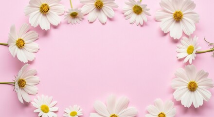 Fototapeta premium White cosmos flowers frame on pink background floral design spring summer wedding invitation template 100char