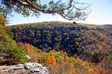 autumn landscape in the mountains