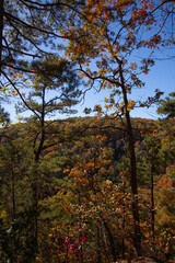 autumn in the mountains