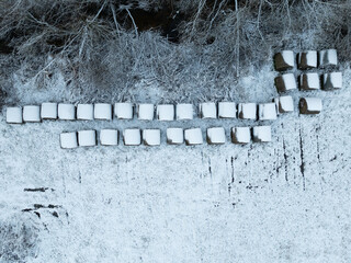 Top-down aerial drone view of snow-covered round hay bales arranged in rows near a frozen forest in rural Estonia.