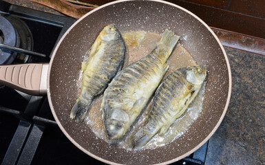 cooking freshwater fish crucian carp in a frying pan. the fish is dipped in flour and fried in vegetable sunflower oil. fish meat has a sweetish taste