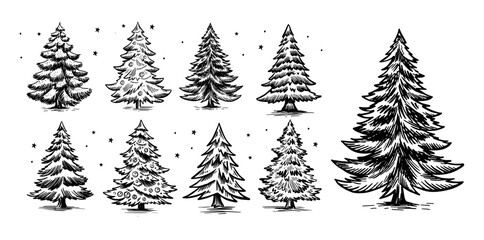Christmas tree set on white. Hand drawn illustration.	
