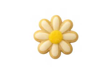 Daisy flower shaped sugar cookie on transparent background