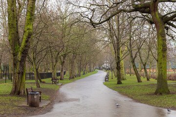 Holland park in London Borough of Kensington of London in Winter.