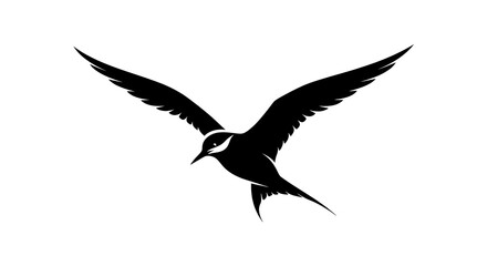 Obraz premium Silhouette of soaring bird with extended wings on white background