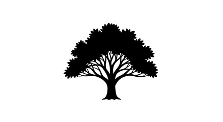Silhouette of a tree isolated on white background