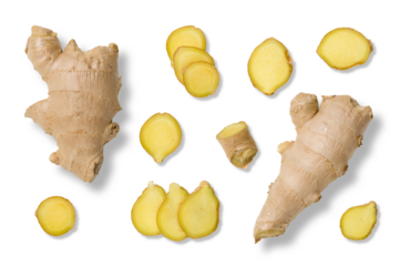 Collection of fresh ginger root and sliced ginger pieces isolated on a transparent background, PNG. High resolution. Perfect for culinary, healthy eating concepts, natural medicine and product design,