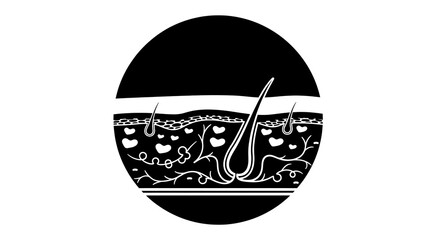 Skin layer illustration with hair follicle