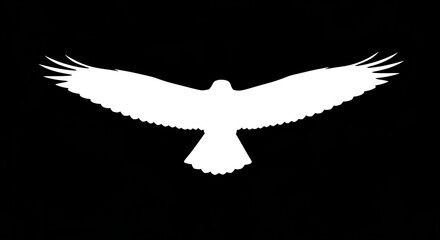 Soaring eagle silhouette on black