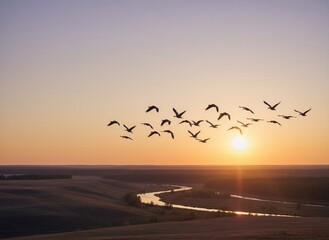Birds flying in V-formation against a golden orange sunset sky over a winding river and undulating landscape