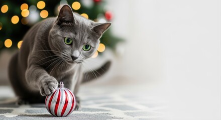 grey cat playing with christmas ornament by decorated tree on patterned rug indoors