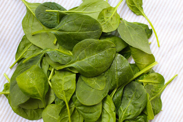 Spinach leaves on striped cloth.
