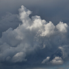 Cumulus clouds against a background of solid cloud cover