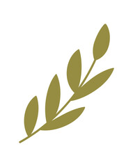 Modern flat mistletoe branch ornament in green style. Christmas floral branch decor for holiday or party, perfect kraft gift and box graphic element.