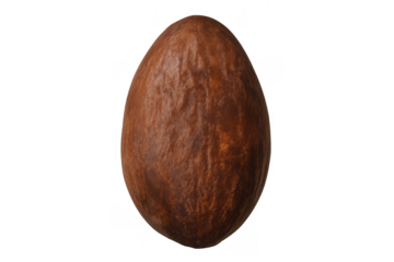 Isolated brown almond nut oval shape