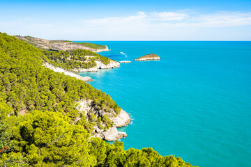 Obraz premium Panoramic view of the Gargano coastline with turquoise sea and rocky cliffs covered in pine forest, Apulia, Italy