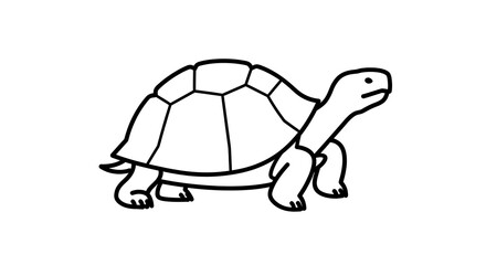 Turtle illustration isolated white background