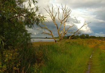 Landschaft bei Harwich