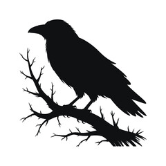 Fototapeta premium Black crow silhouette perched on a bare branch silhouette
