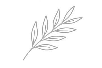 Minimal plant branch with leaves on transparent background