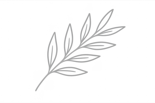 Minimal plant branch with leaves on transparent background - Powered by Adobe