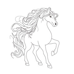 Outline horse with beautiful mane illustration. Vector Symbol of 2026 Chinese New Year isolated on white background. Editable stroke