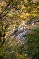 Obraz premium 茨城県大子町 袋田の滝周辺の紅葉 