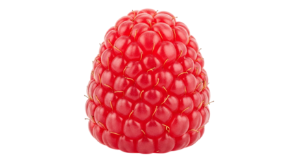 Close up of a single ripe red raspberry, with visible drupelets and fine hairs isolated on a white or transparent background, cutout, PNG