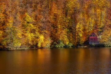 Colorful Autumn Landscape with Orange Leaves and Tree Reflections on a Calm Lake