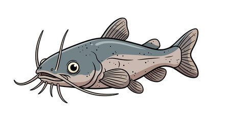 Cartoon illustration of a realistic-looking catfish with prominent whiskers and fins on a white background