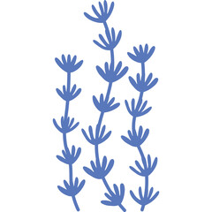 Delicate Blue Floral Stem Illustration on Transparent Background Simple Botanical Art Style