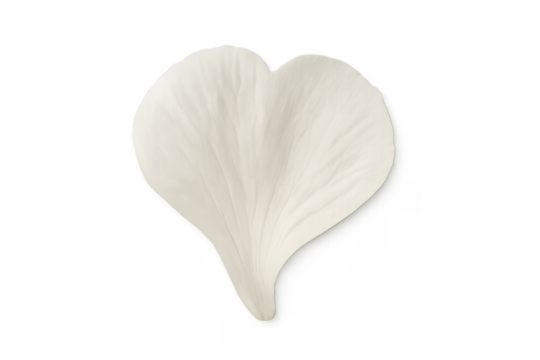 White flower petal forming heart shape concept