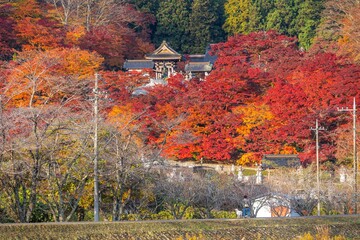 Obraz premium 茨城の紅葉 永源寺もみじ寺 